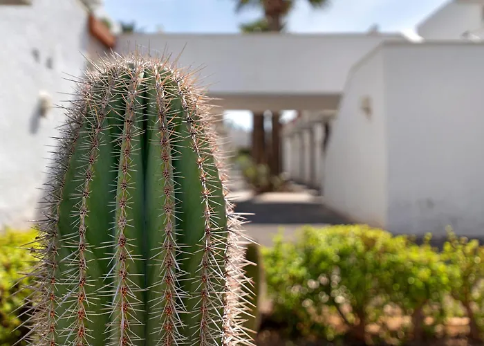 Aaron Beautifull House *